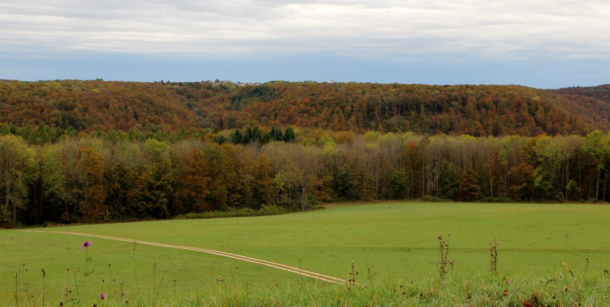Weidefläche Ulmer Eberstetten, © Bad Urach Tourismus