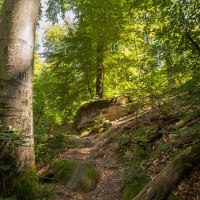 spiegelberg_bodenbachschlucht, © Q-vadis Redaktion