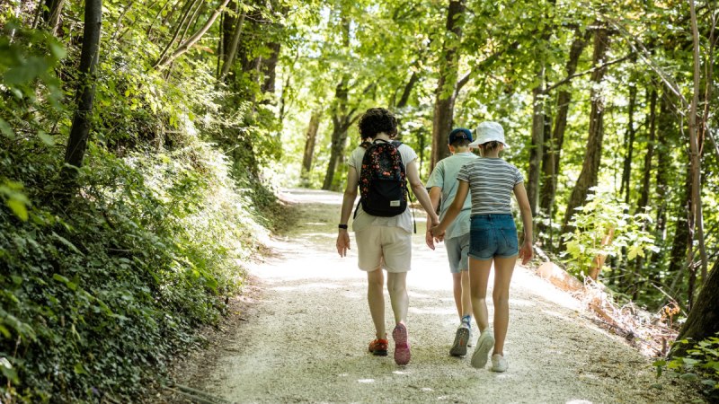 Waldweg Hohenstaufen, © TMBW