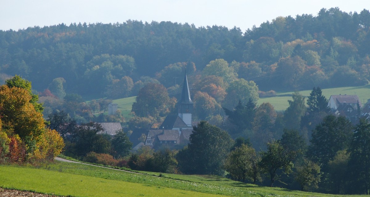 Blick zurück auf Dachtel, © Natur.Nah. Schönbuch & Heckengäu