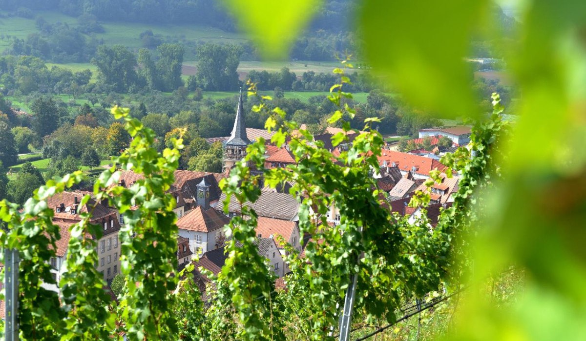 Weinberge bei Ingelfingen im Kochertal, © Würth Elektronik, Niedernhall