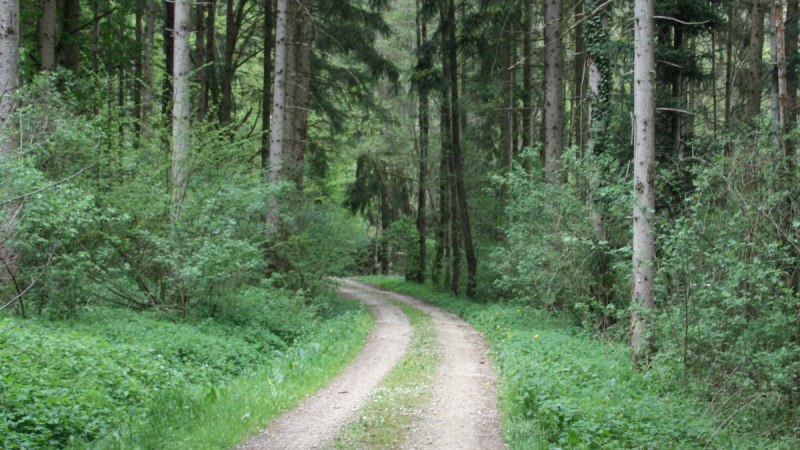 Durch den Schaubenwald, © Touristik und Marketing GmbH Schwäbisch Gmünd