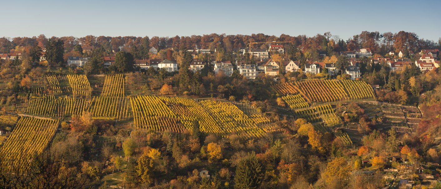 Weinberge Rohracker, © Steilwerk Rohracker