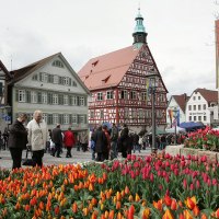 Rathaus Backnang