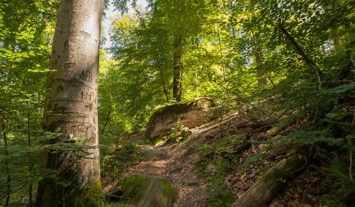 spiegelberg_bodenbachschlucht, © Q-vadis Redaktion