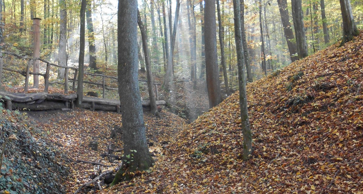 Wanderung im Aichenbachtal