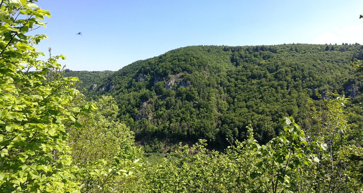 Von der ehemaligen Burgruine Blankenhorn hat man einen tollen Ausblick ins Grüne, © Bad Urach Tourismus