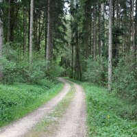 Durch den Schaubenwald, © Touristik und Marketing GmbH Schwäbisch Gmünd