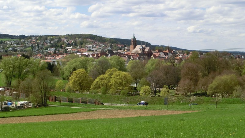 Naturschutzgebiet Mittelberg