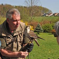 Der Züchter mit Kindern in der Greifvogelanlage Spatzenwald in Wüstenrot, © Greifvogelanlage Spatzenwald