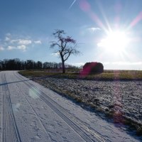 Milchsäules-Rundweg, © Land der 1000 Hügel - Kraichgau-Stromberg