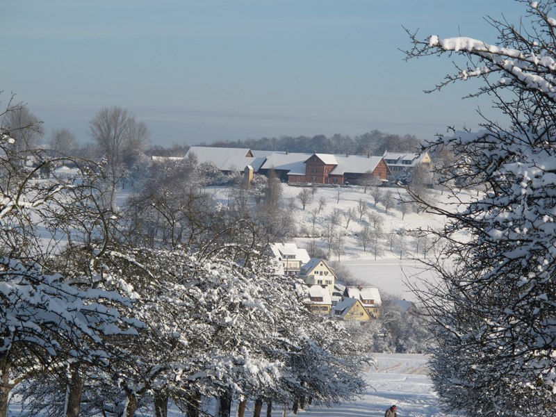 Der Tachenhäuser Hof im Winter, © HFWU