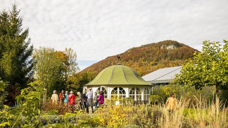 Kräutergarten, © SMG, Sarah Schmid