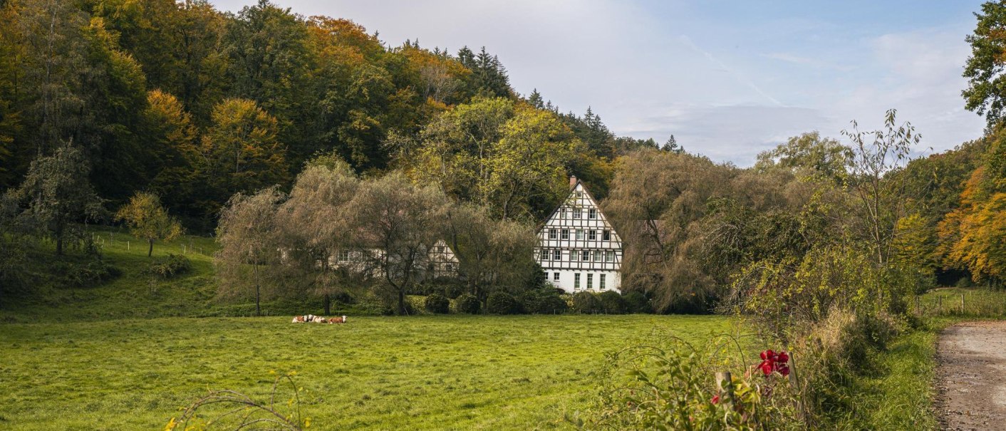 Schlechtmühle im Siebenmühlental, Leinfelden-Echterdingen, © SMG, Sarah Schmid