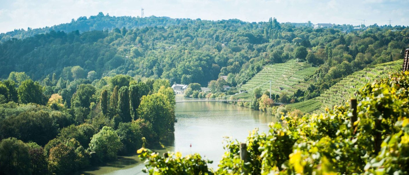 Neckarschleife und Weinberge, © Weingut Zaißerei