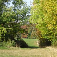 Auf dem Weg zum Pfaffenberg, © Foto: Cornelia Steinbach