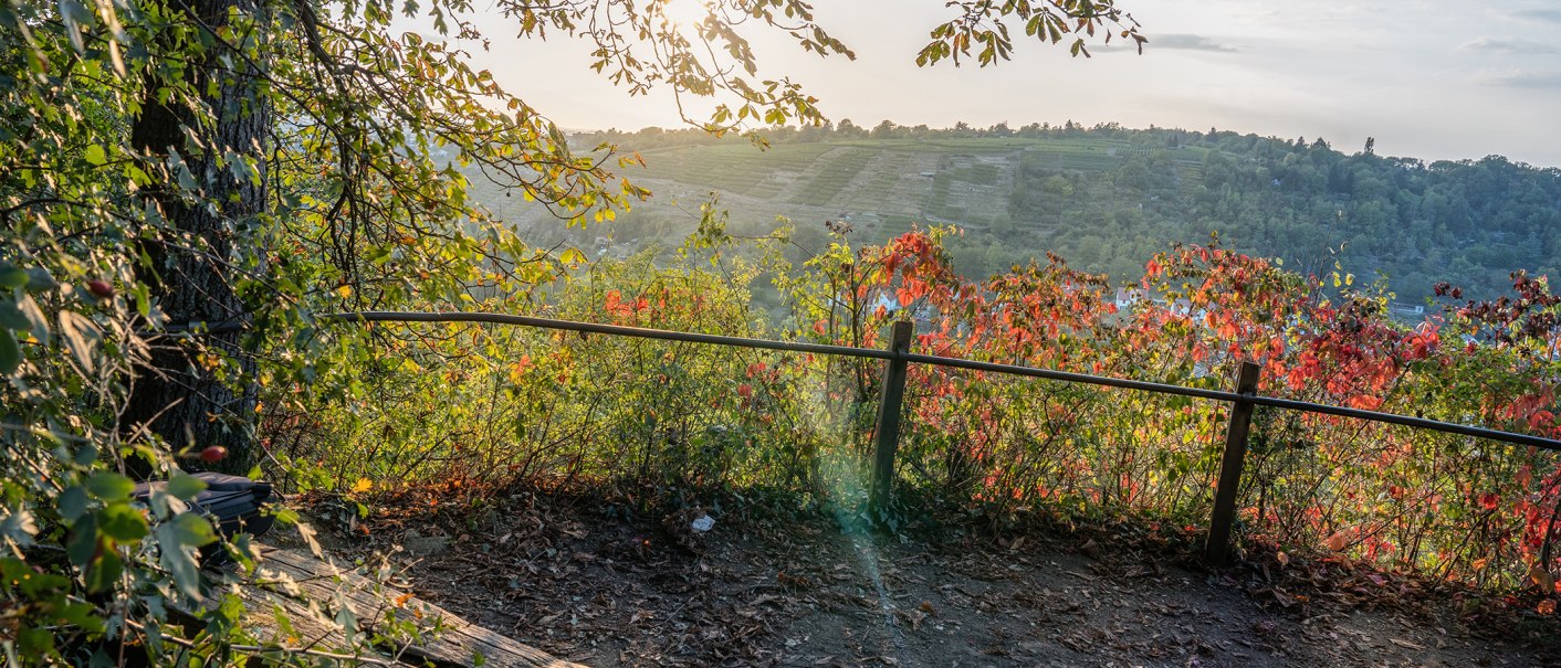 Bietigheimer Bergweg, © SMG, Martina Denker