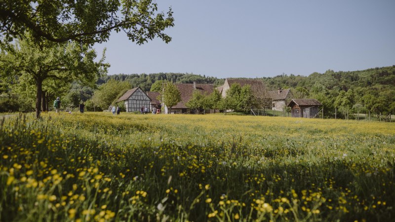 Hohenloher Freilandmuseum Wackershofen, © Nico Kurth