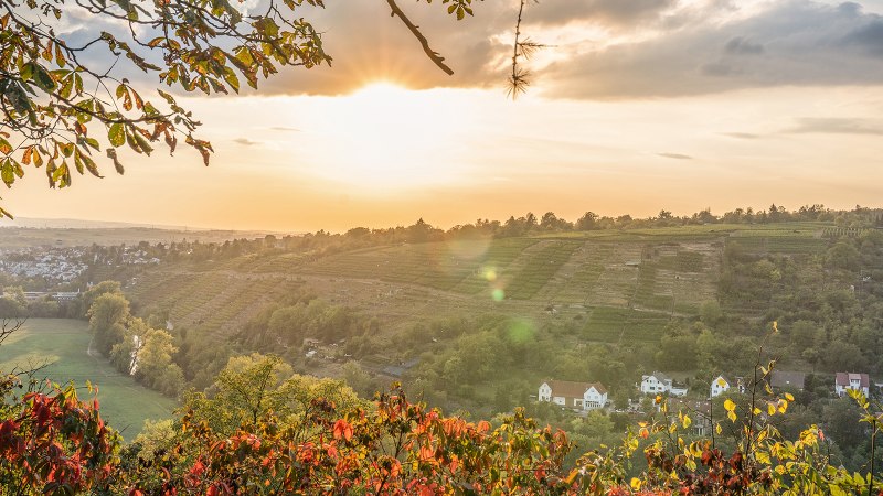 Bietigheimer Bergweg, © SMG, Martina Denker