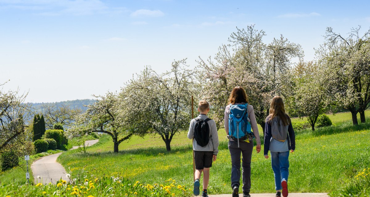 Wanderer auf dem Winnender Weinwanderweg, © Stadtverwaltung Winnenden