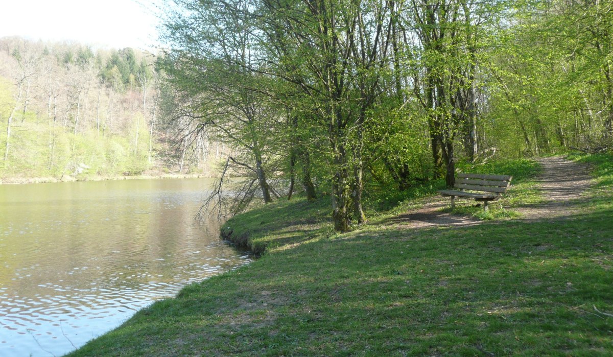 Blick auf den Sulzbach-Stausee, © Natur.Nah. Schönbuch & Heckengäu