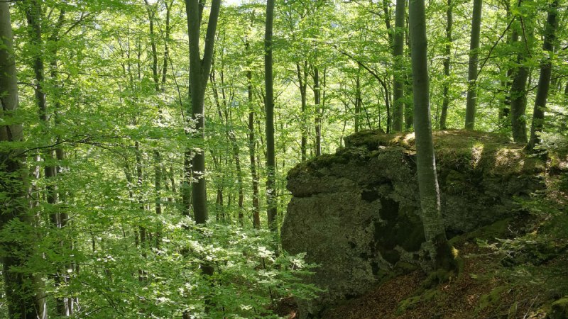 Schlupffels, © Bad Urach Tourismus