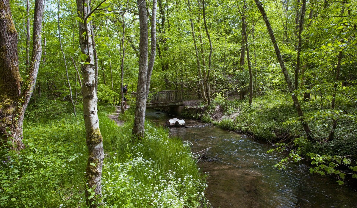 Land.Tour WildeWege, © Natur.Nah. Schönbuch & Heckengäu