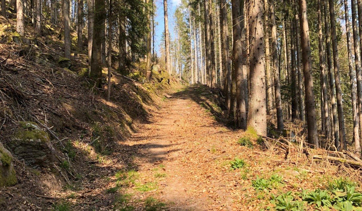 © Nördlicher Schwarzwald