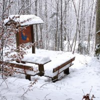 Rastplatz Sturzweg, © Q-vadis Redaktion