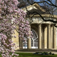 Magnolien im Kurpark Bad Cannstatt, © Stuttgart Marketing GmbH, Sarah Schmid