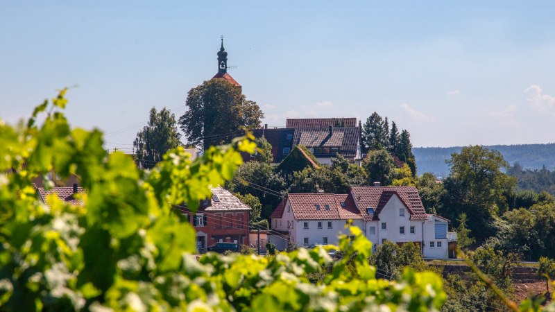 Burg Bürg Winnenden, © SMG, Achim Mende