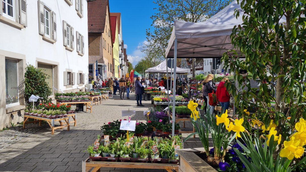 Bunte Pflanzenstände auf dem Fensterblümlesmarkt in der Alleenstraße, © K3N