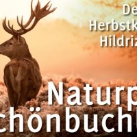 Naturpark Schönbuchlauf, © Natur.Nah. Schönbuch & Heckengäu