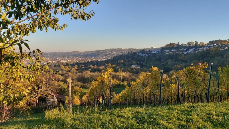 Blick vom Wengerthäusle über die Weinberge, © Stadtmarketing Leonberg