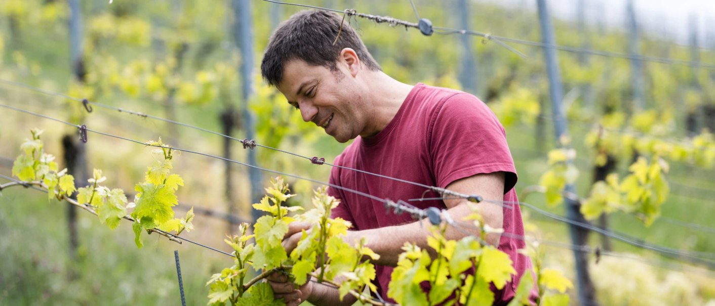 Christian Zaiß, © Weingut Zaiß