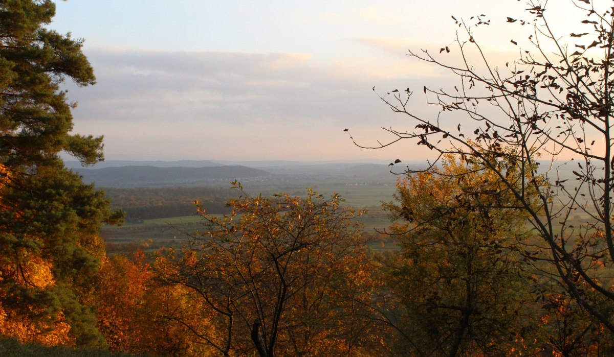 Impressionen LandTour SchönbuchTrauf, © Natur.Nah. Schönbuch & Heckengäu