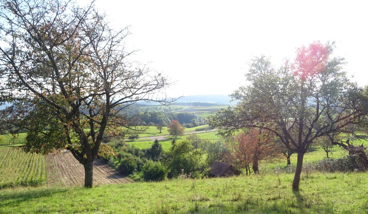 Höhenweg Schorndorf, © Stadt Schorndorf