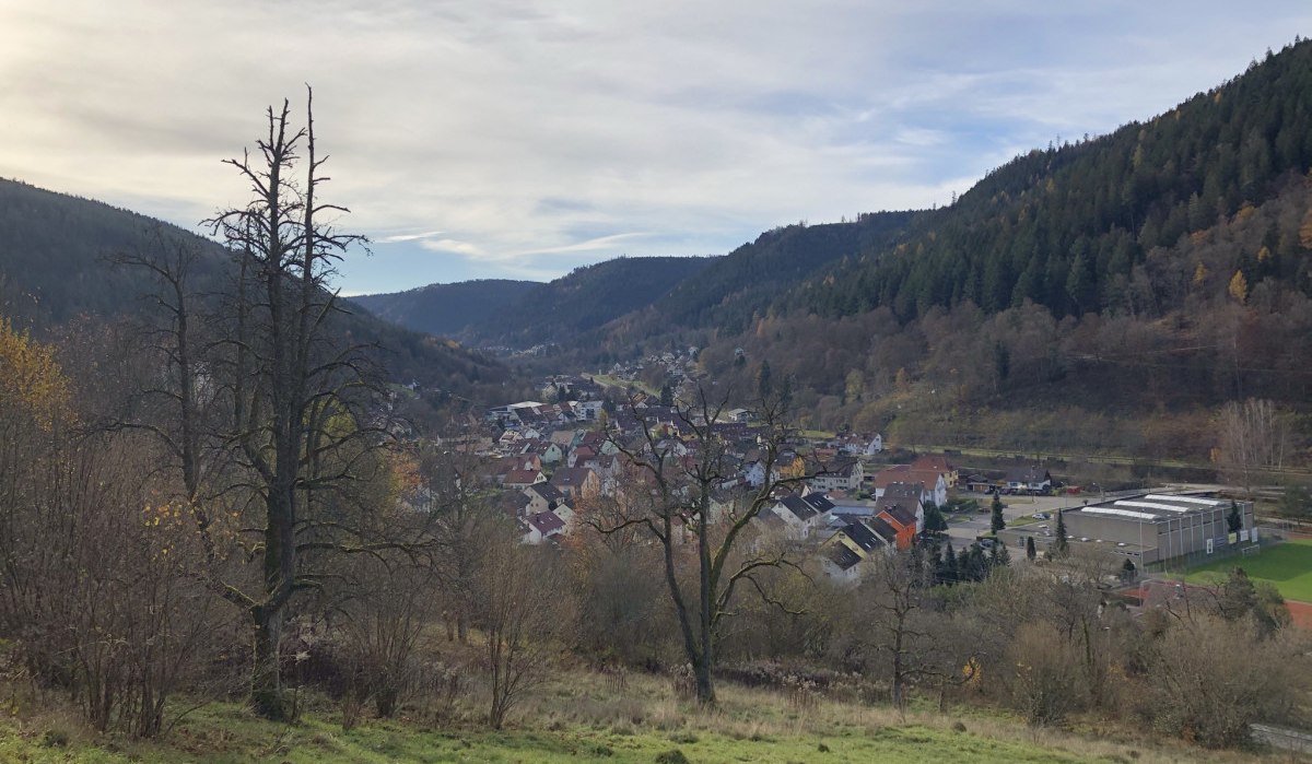 Blick auf Calmbach, © Nördlicher Schwarzwald