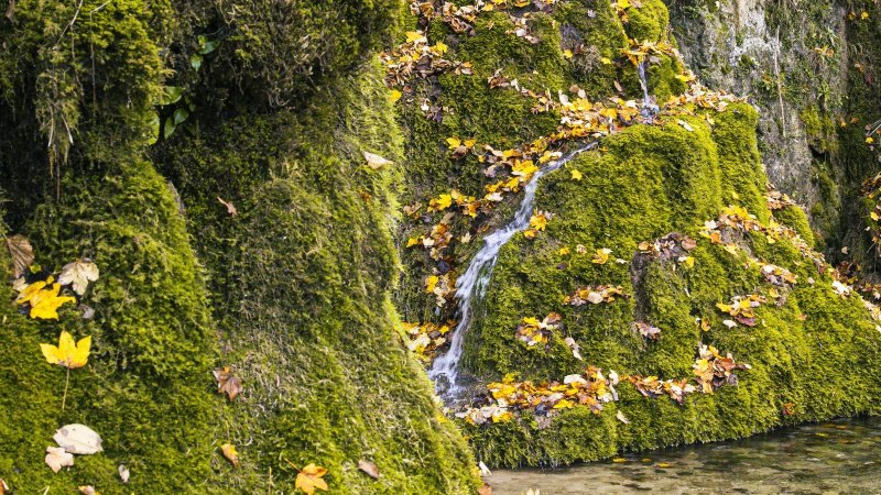 Gütersteiner Wasserfälle, Bad Urach, © SMG, Sarah Schmid