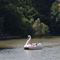 Waldsee Murrhardt, © Stuttgart-Marketing GmbH, Achim Mende