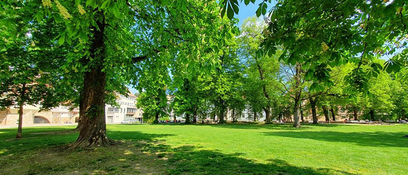 Die Maille in Esslingen am Neckar, © Esslinger Stadtmarketing & Tourismus GmbH