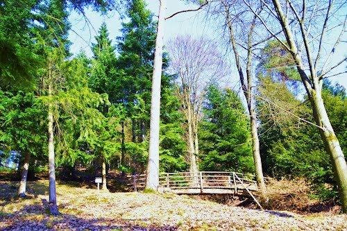 Arboretum Sulzbach an der Murr