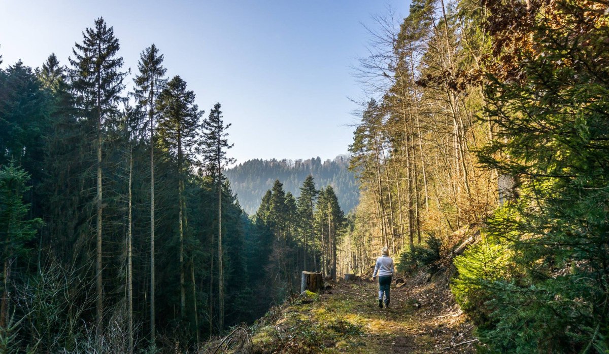 © Nördlicher Schwarzwald