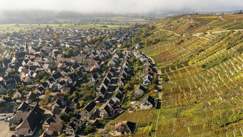 Roßwager Halde, Vaihingen an der Enz, © Stuttgart-Marketing GmbH, Sarah Schmid