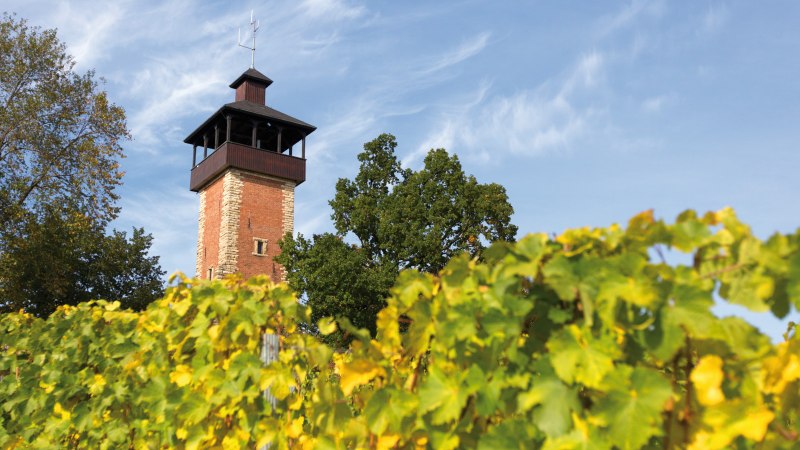 Aussichtsturm Burgholzhof Stuttgart, © SMG, Achim Mende