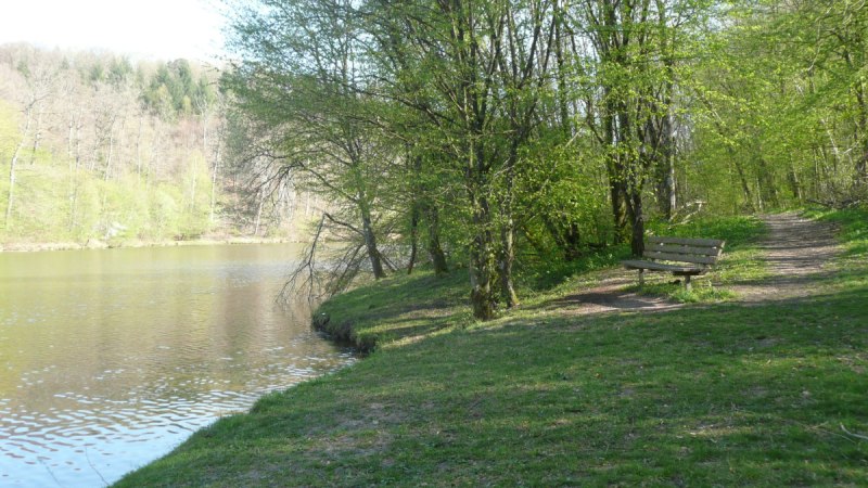 Blick auf den Sulzbach-Stausee, © Natur.Nah. Schönbuch & Heckengäu