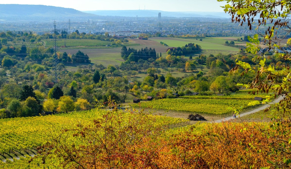 Ausblick vom Sörenberg, © WTM GmbH Waiblingen