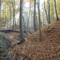 Wanderung im Aichenbachtal