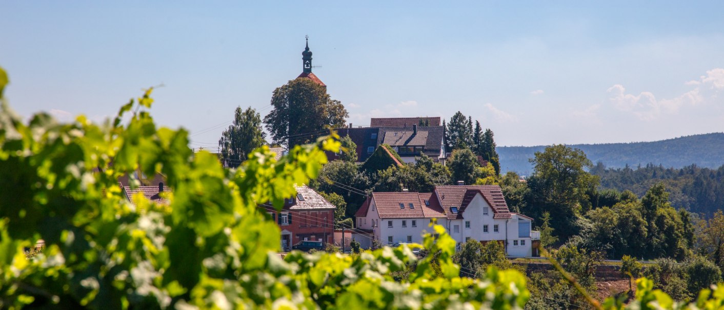 Burg Bürg Winnenden, © SMG, Achim Mende