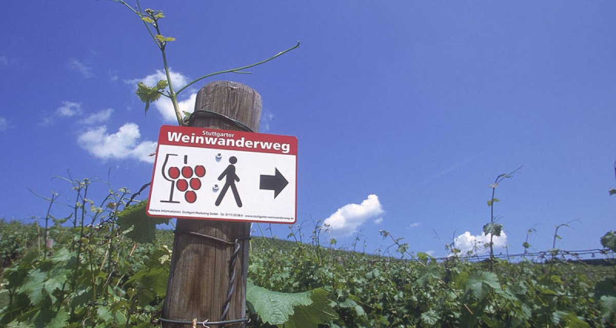 Weinwanderweg Rohracker, © Stuttgart-Marketing GmbH